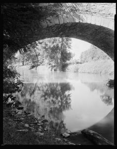 02153v.jpg