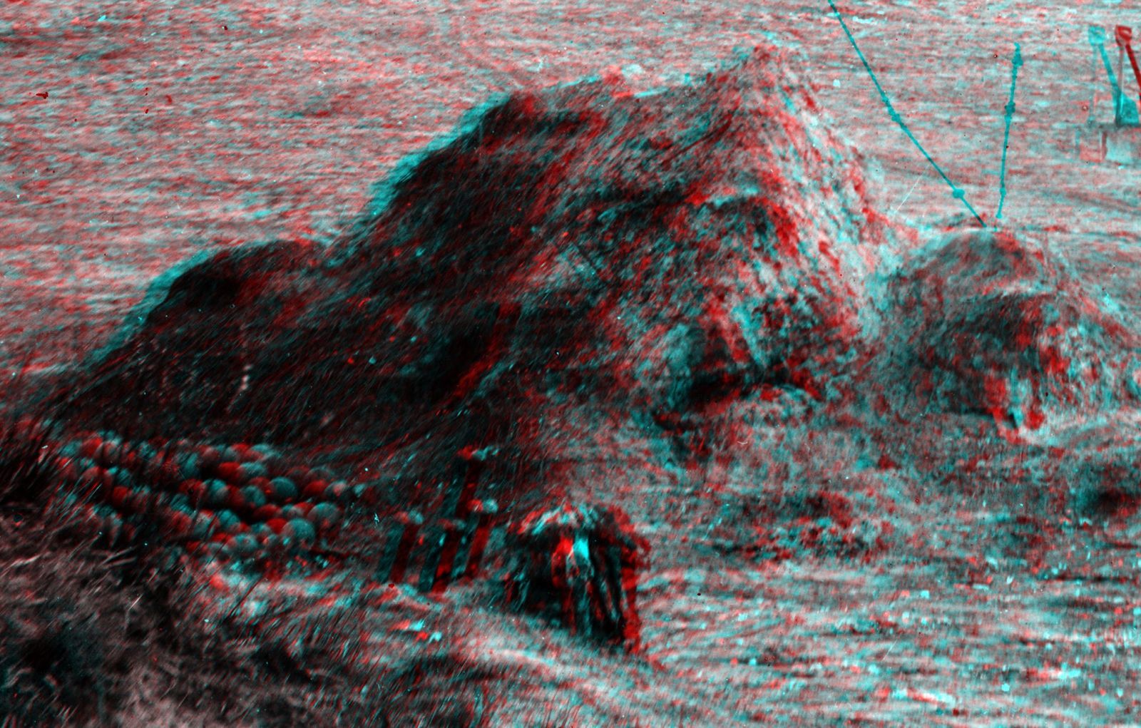 03495_sma.jpg