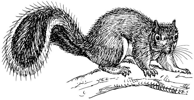 1628015414220.png