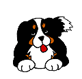 1693759554377.gif