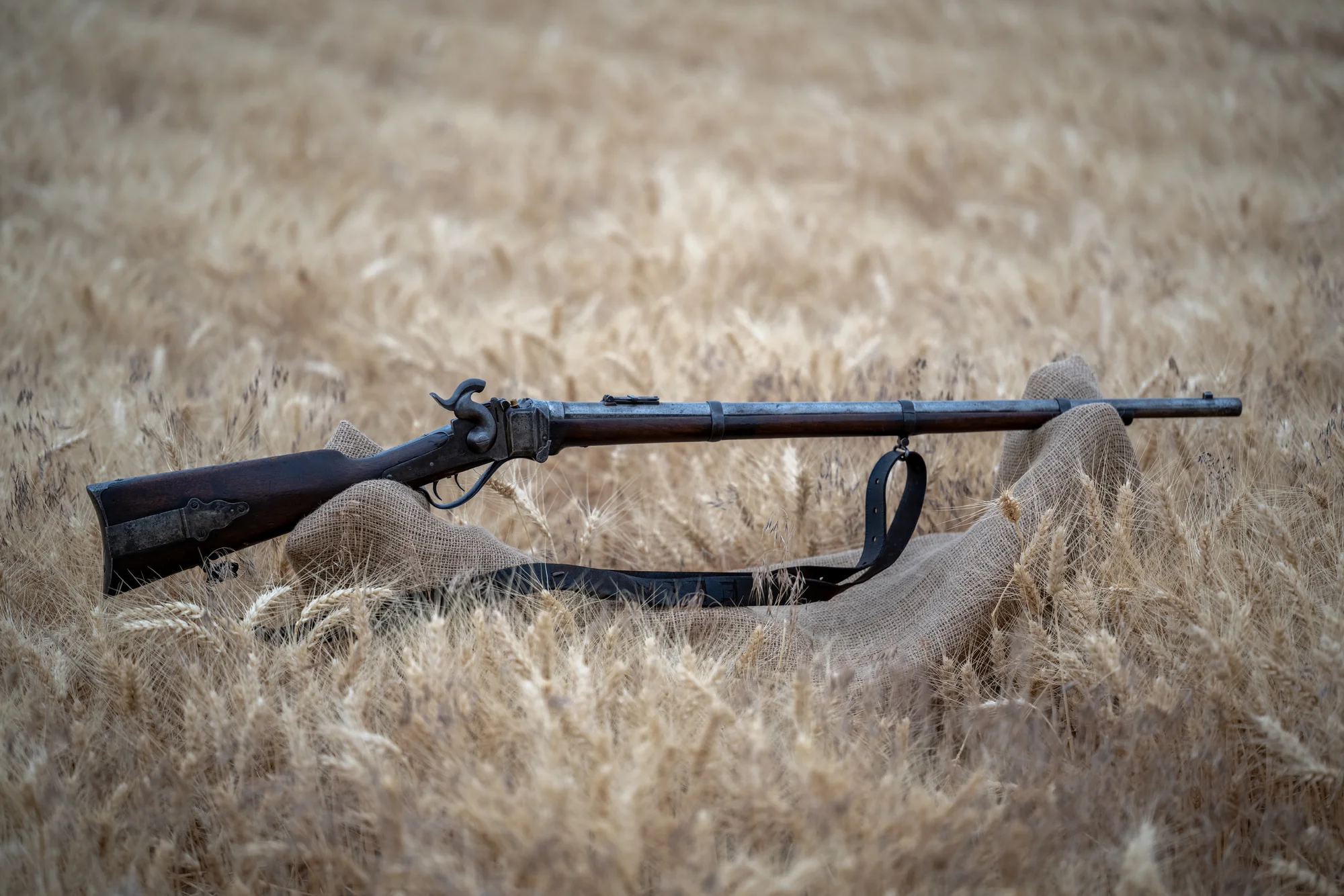 1859Wheat-1.webp