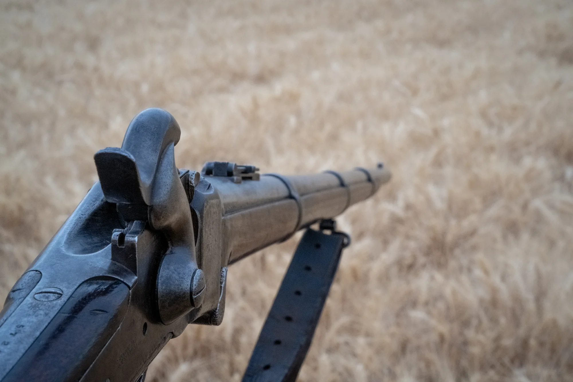 1859Wheat-3.webp