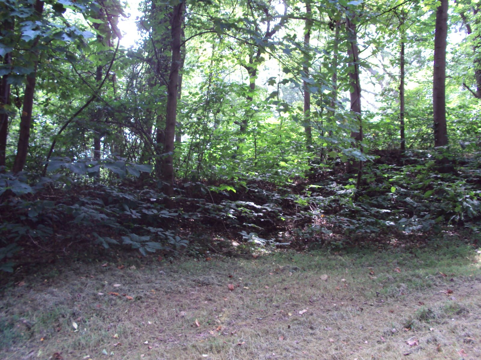 353.JPG