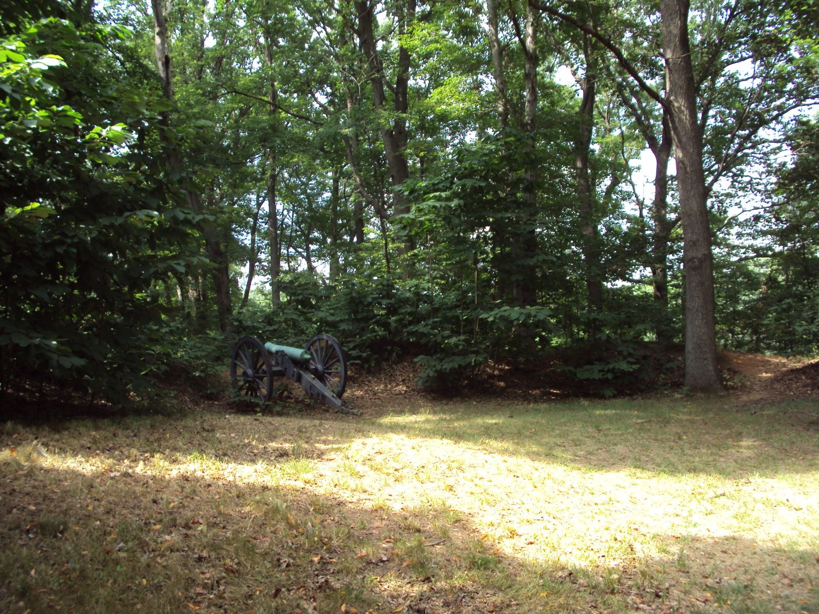 356.JPG