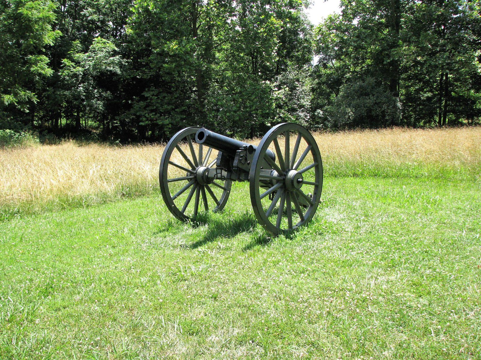 565.JPG