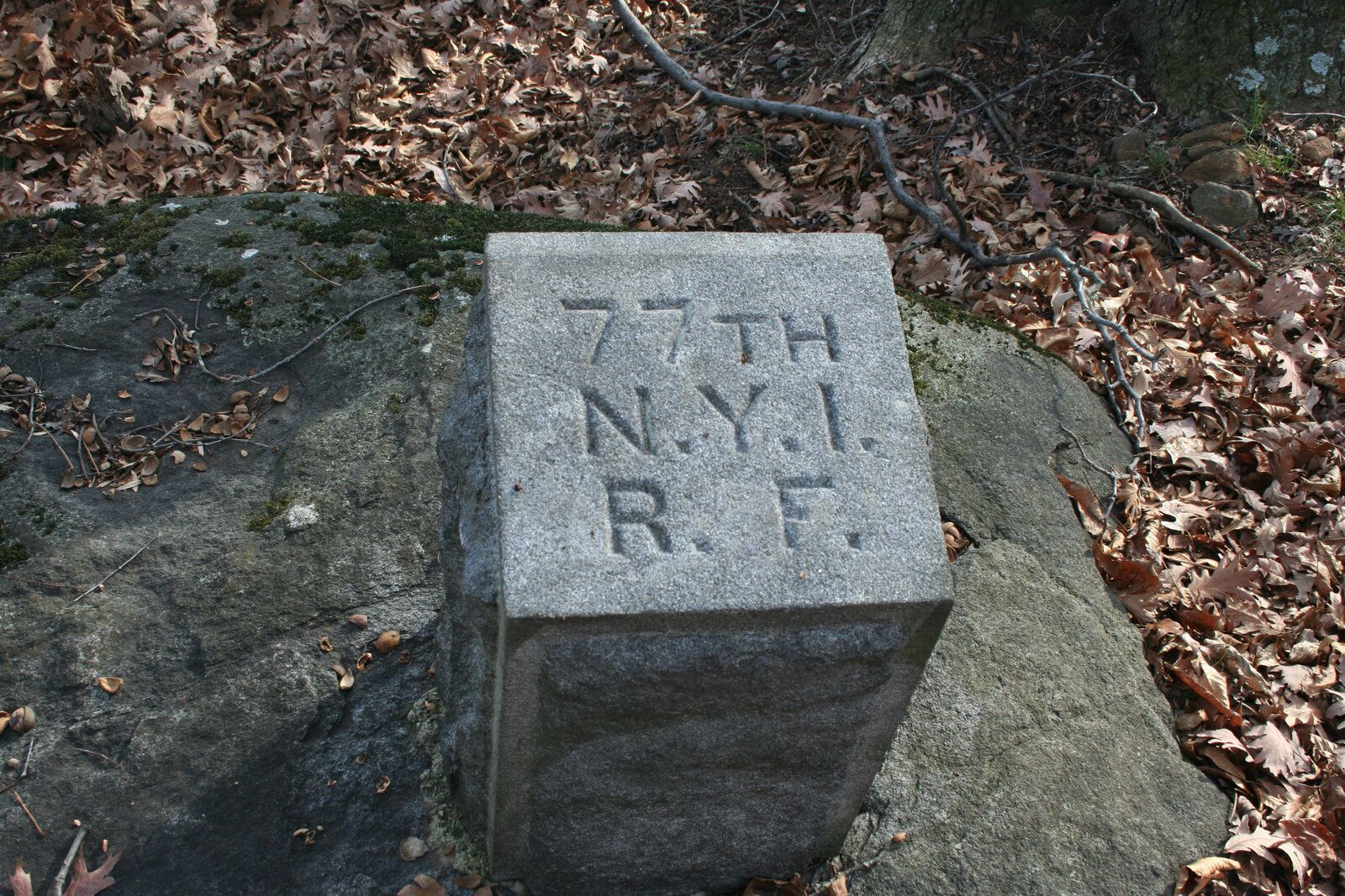 77th NY RF.jpeg
