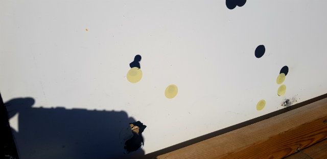89.jpg