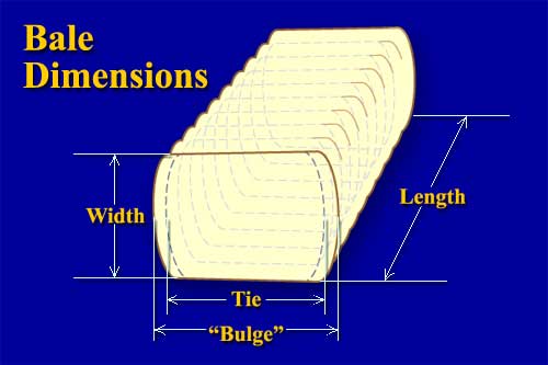 Bale-Dimensions-draft2.jpg