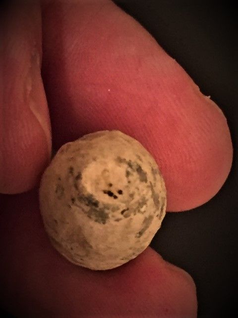 ball3.JPG