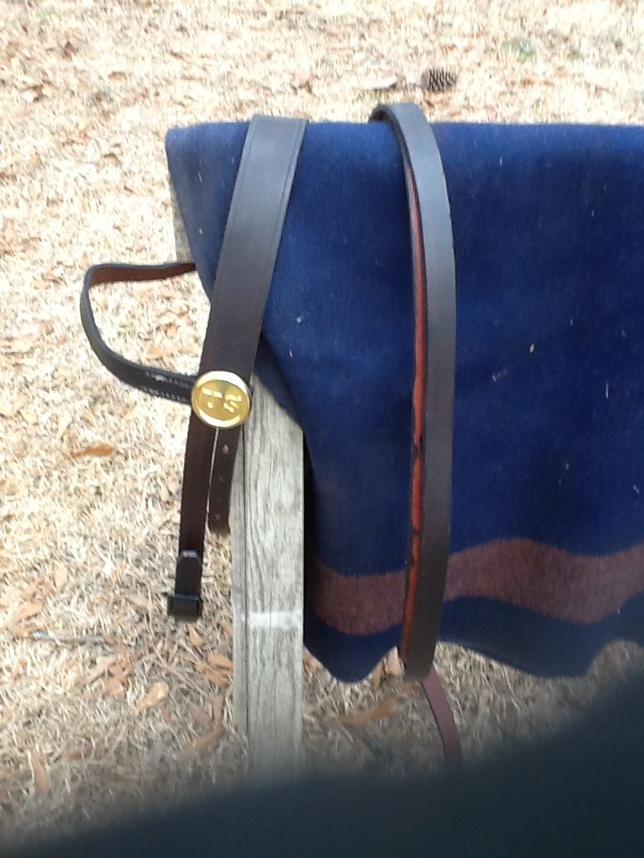 Bridle2.JPG