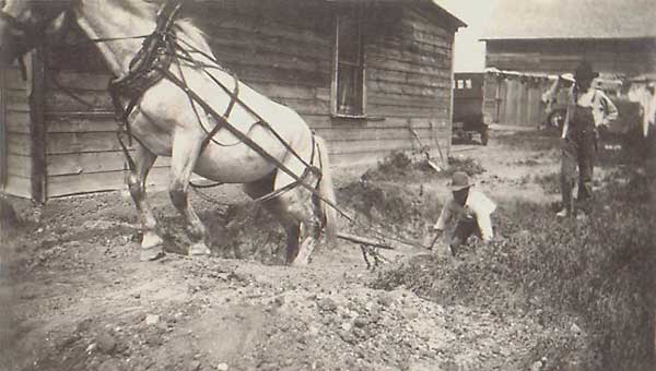 buckscraperdigging.jpg