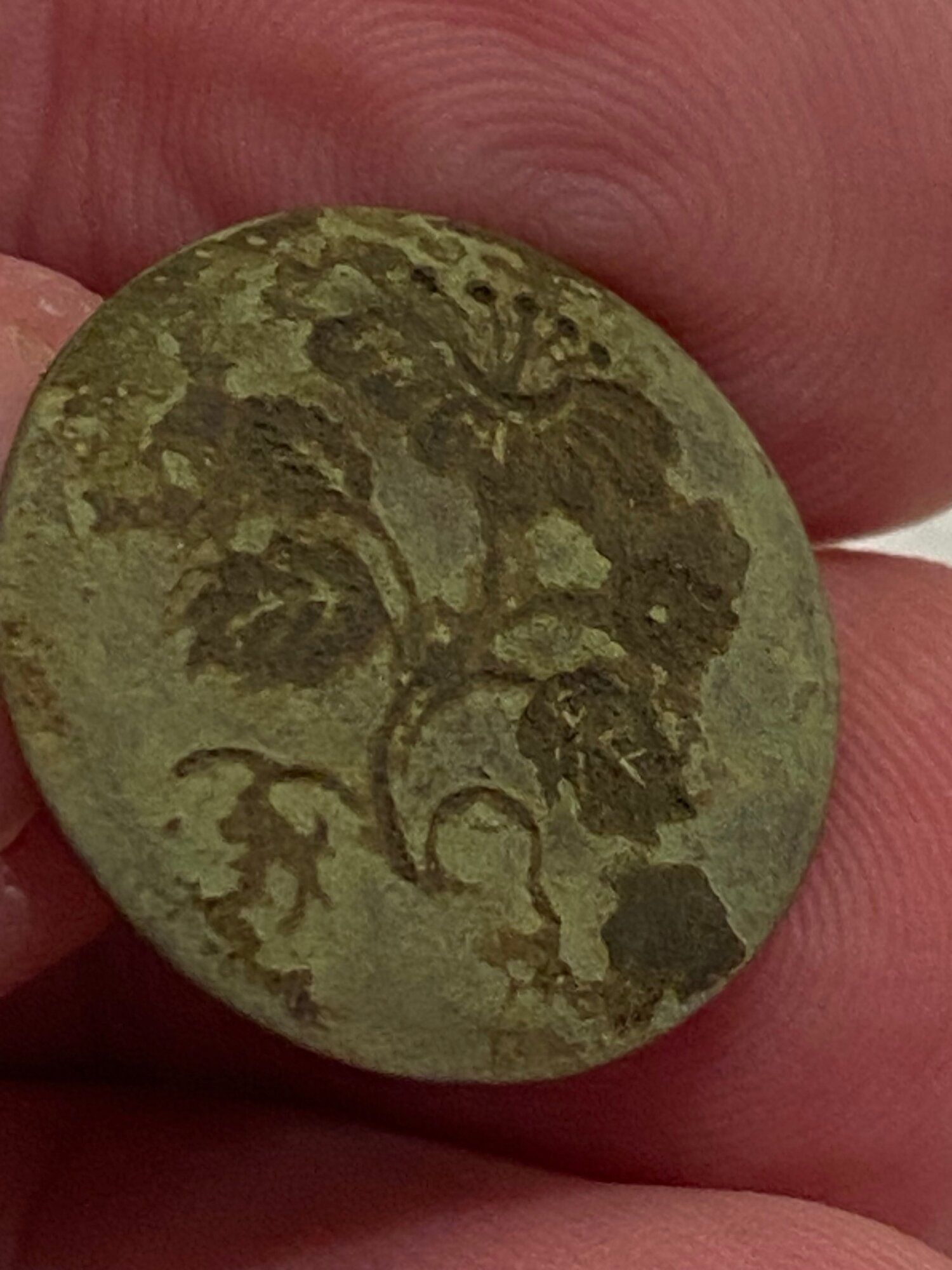 Button 1.jpg