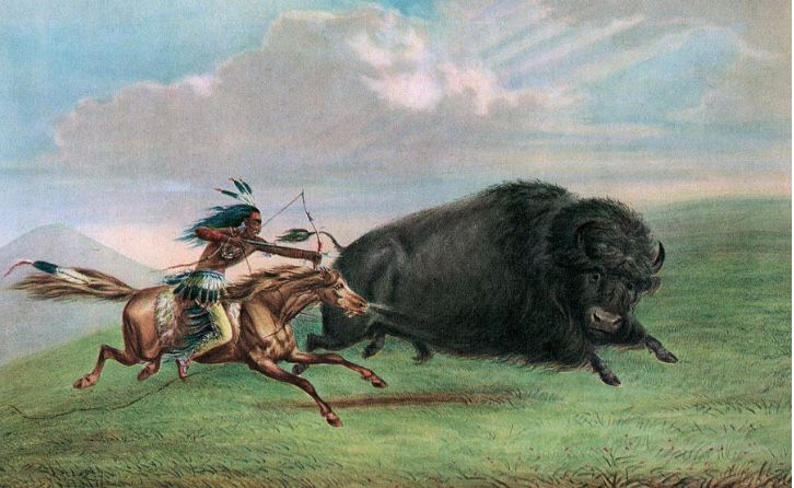 Catlin buffalo hunt.jpeg
