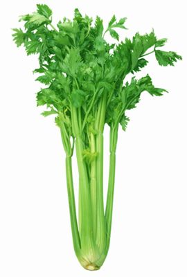 Celery.jpg