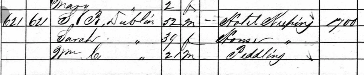Census 1960 -- WC_Dublin.webp