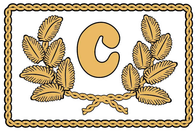 Chap-Insignia.webp
