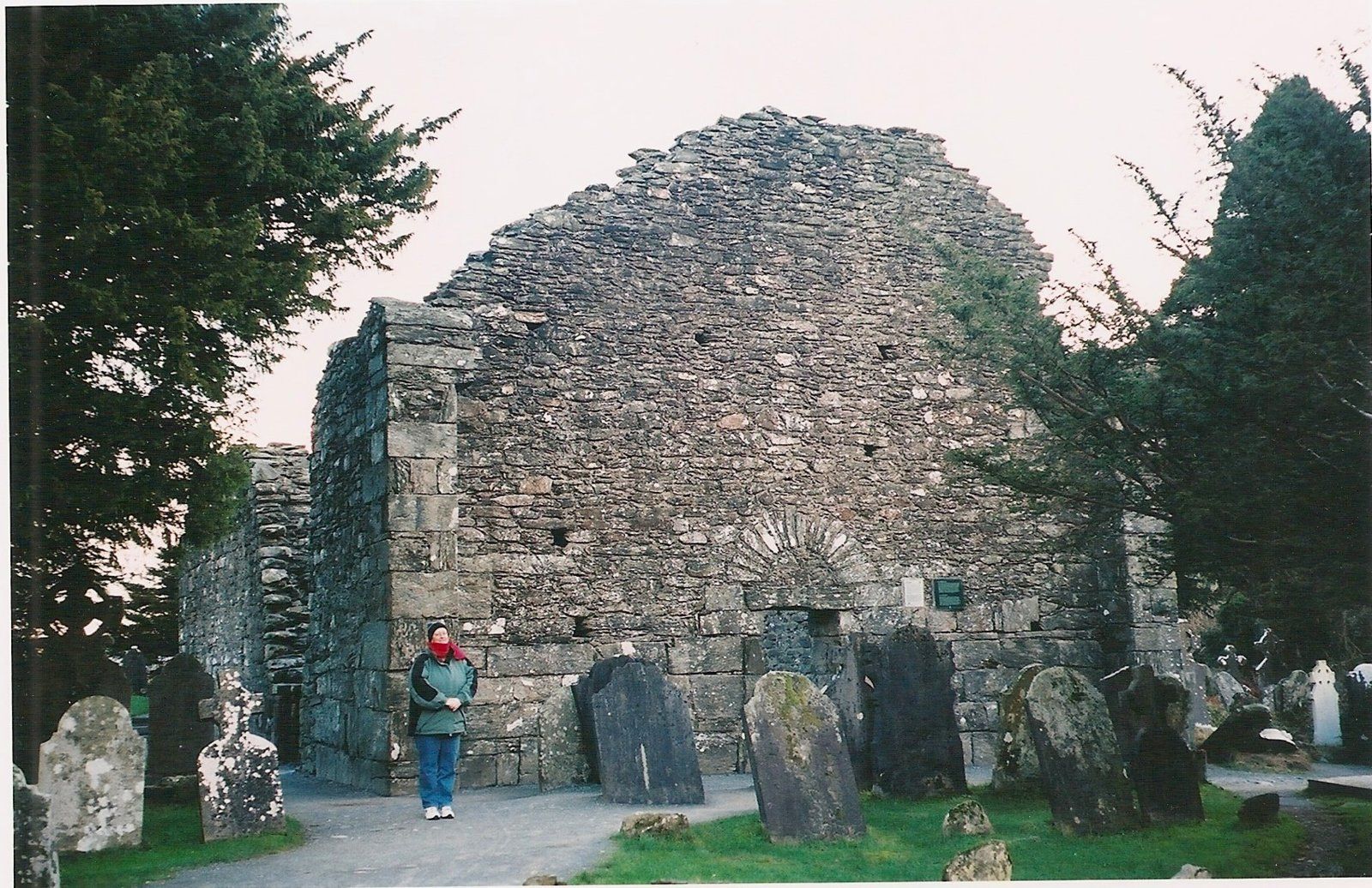 County Wicklow Ruins.jpeg