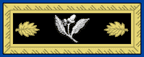 D_NavalConstructor_Strap.png