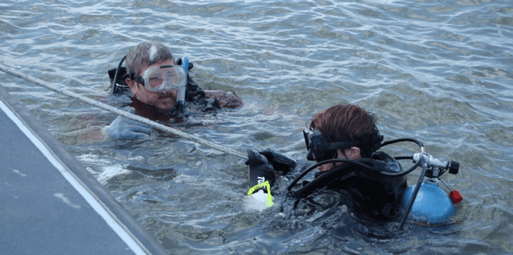 diving.png