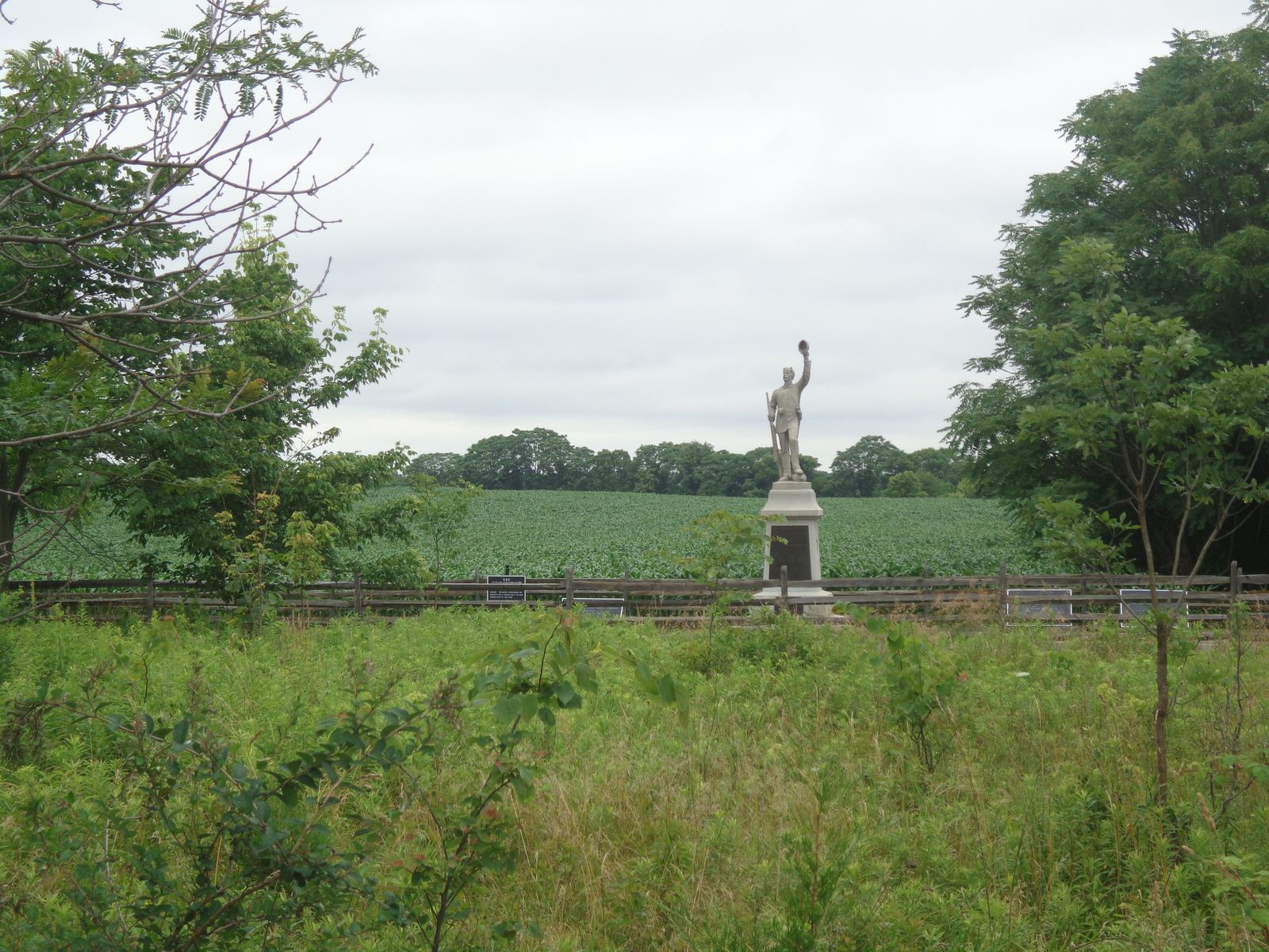 DSC01003.JPG