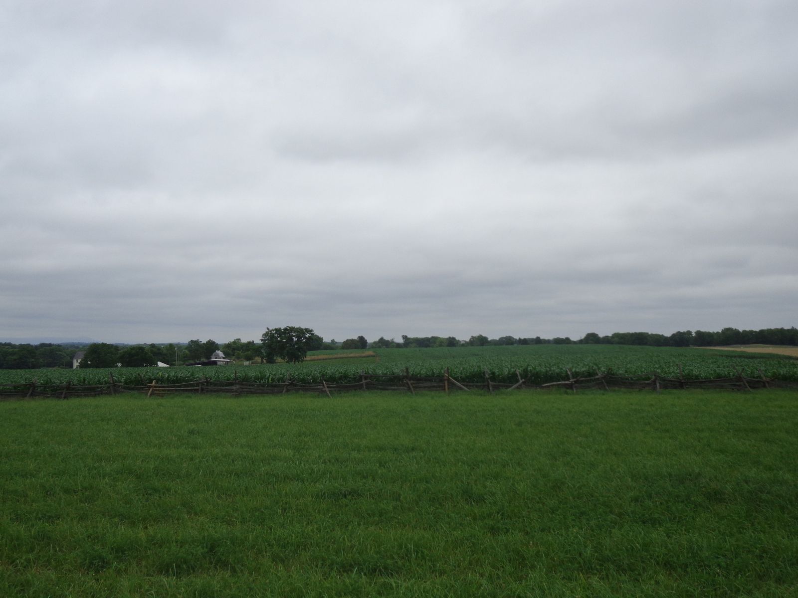 DSC01005.JPG