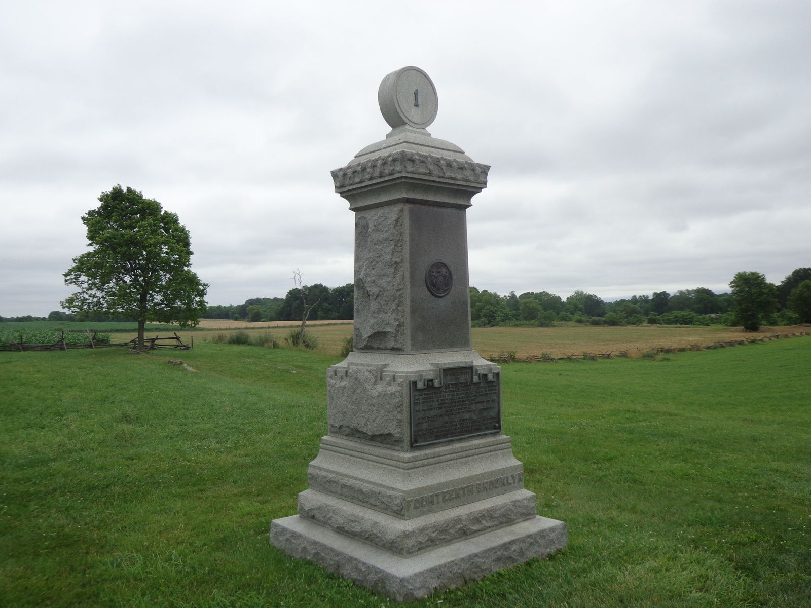 DSC01008.JPG