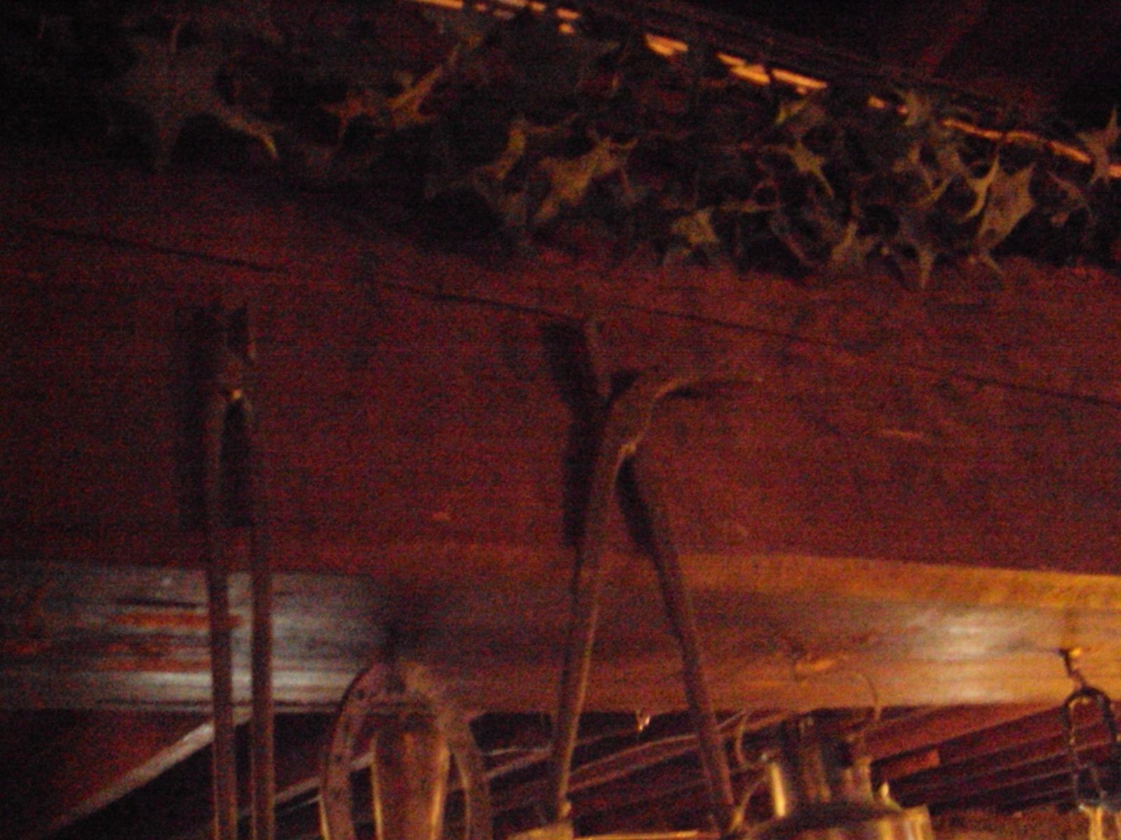 DSC03191.JPG
