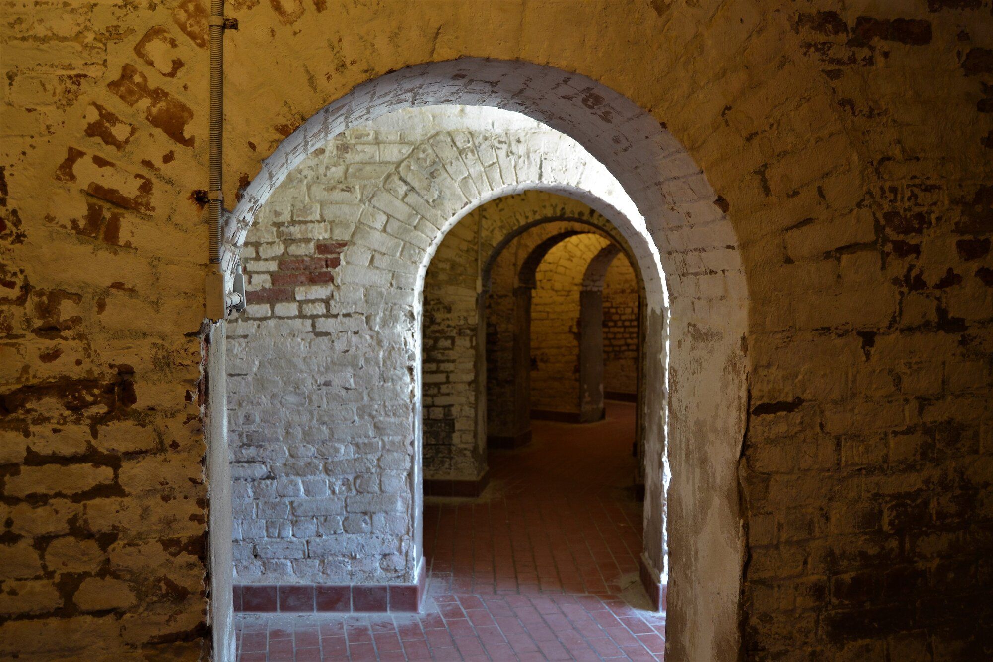 DSC_0102 (2).JPG