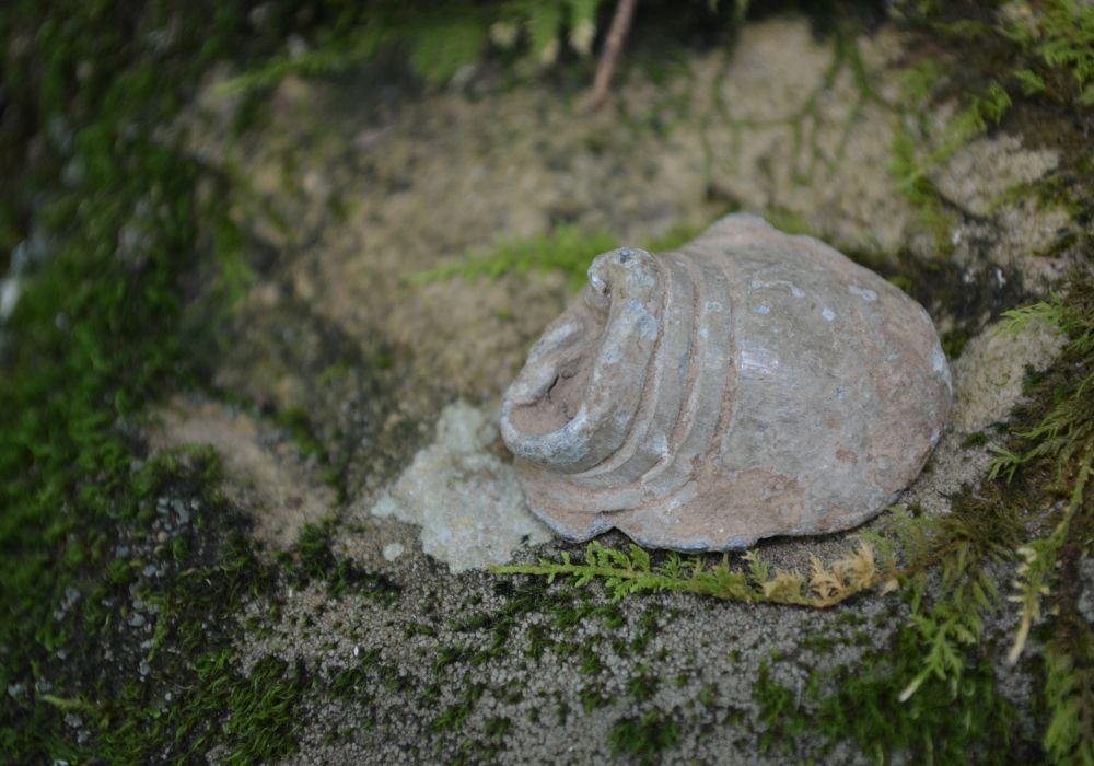 DSC_0280.jpg