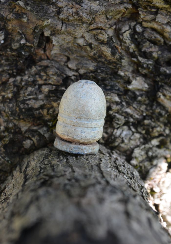 DSC_0304.jpg