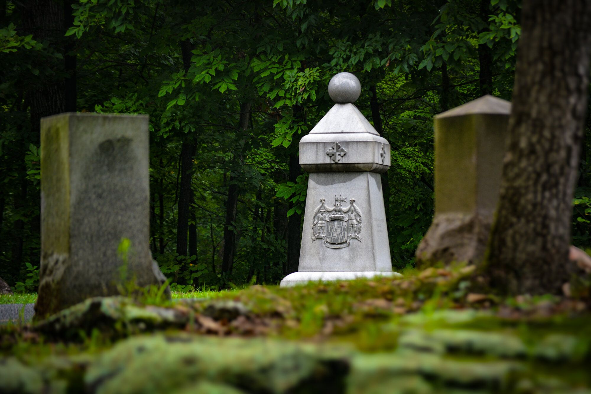 DSC_0347.jpeg