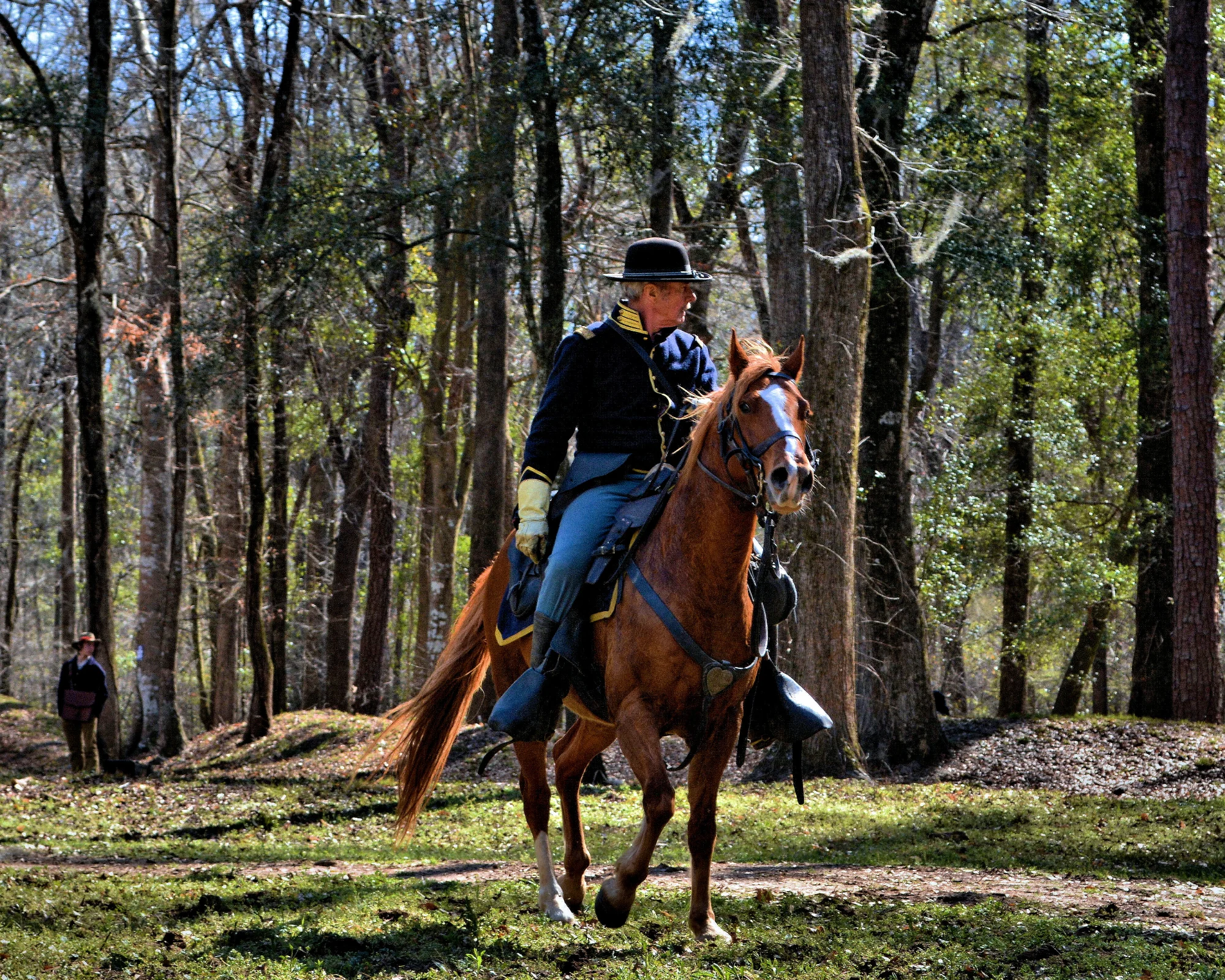 DSC_2175HDR.webp