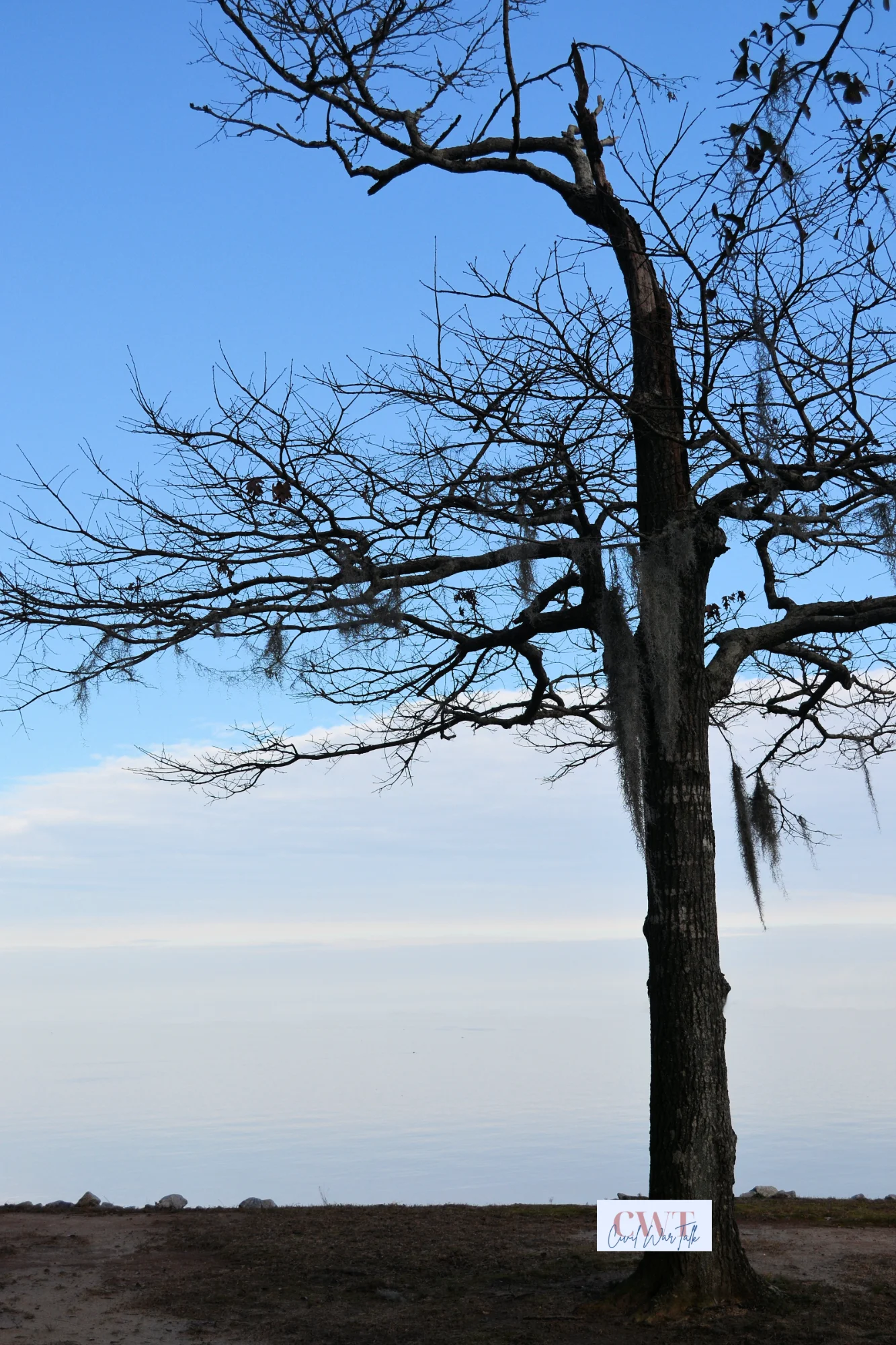 DSC_5398.webp