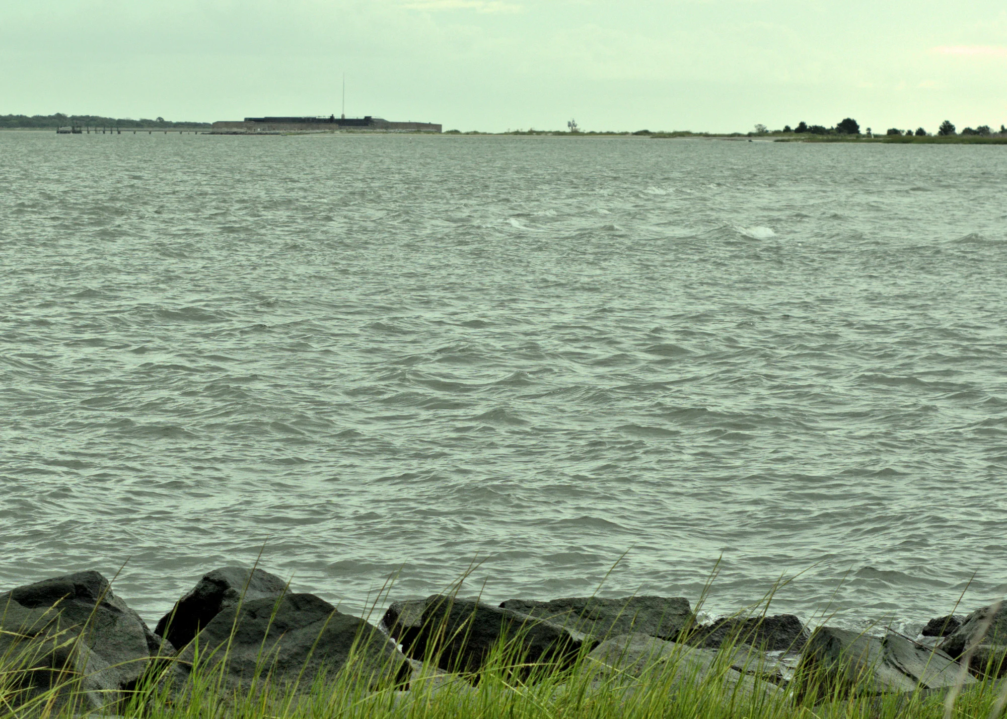 DSC_5703 -2.webp