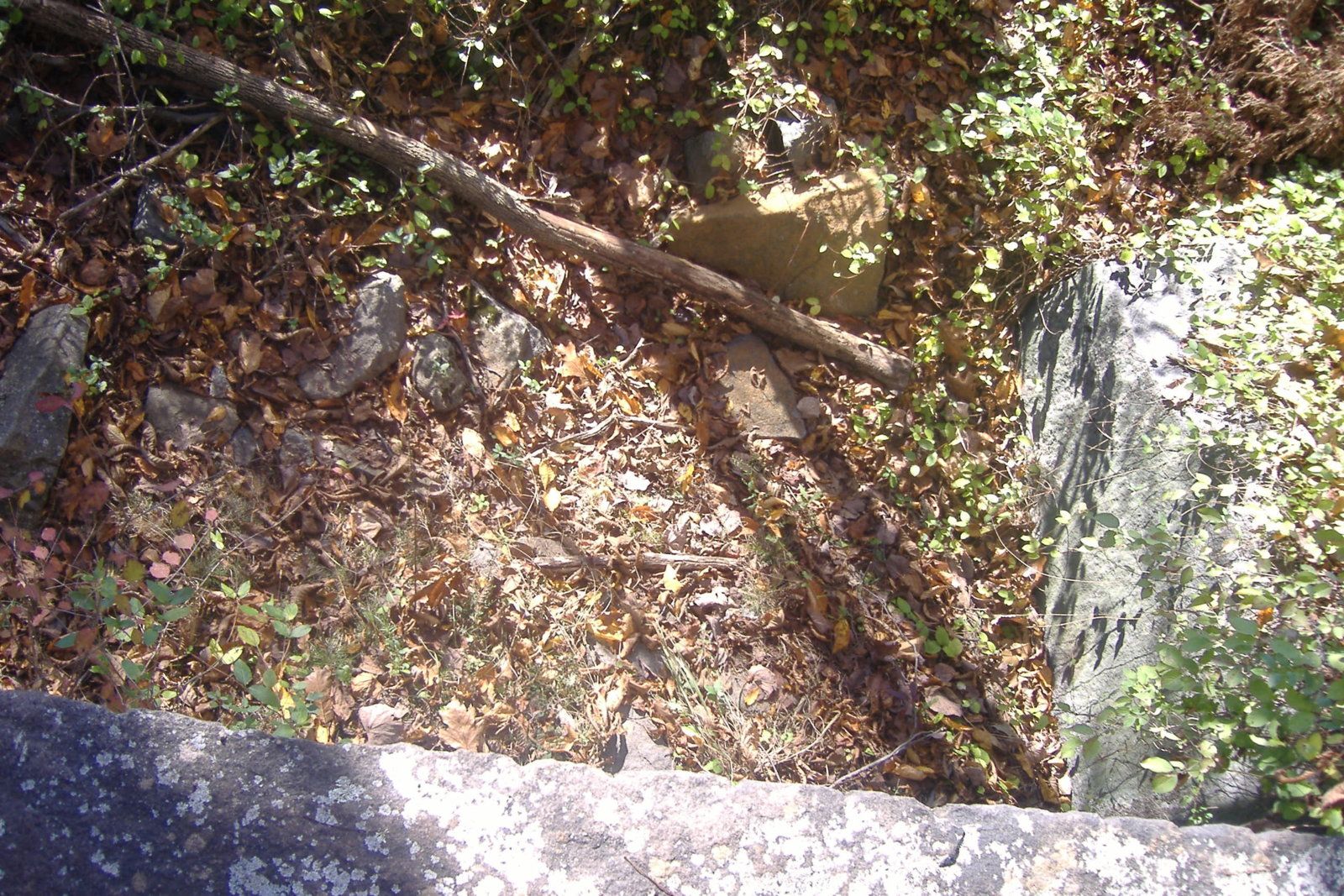 DSCF3703.JPG