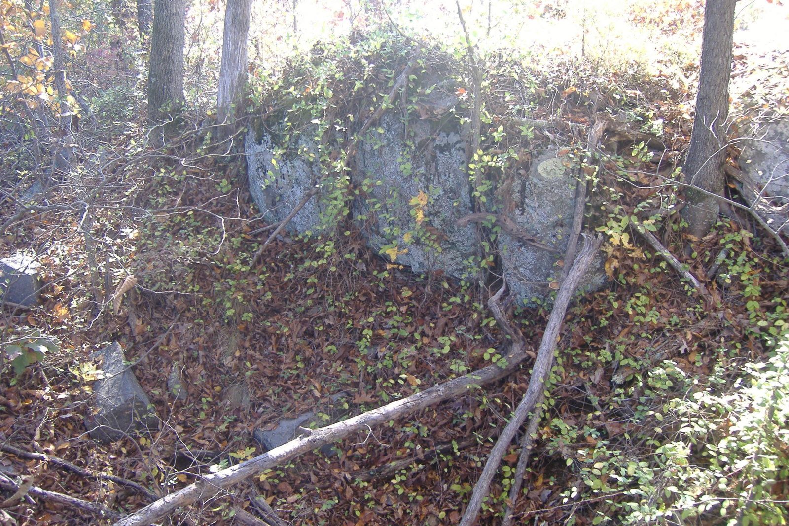 DSCF3705.JPG