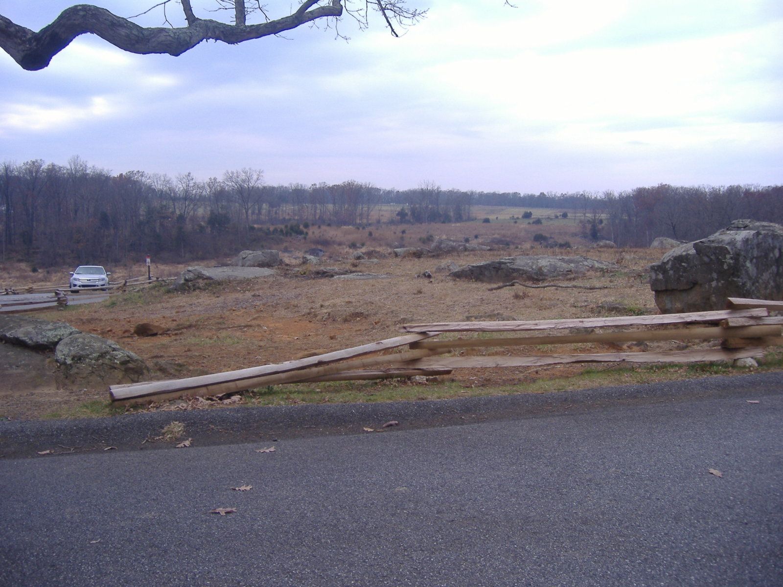 DSCF3913.JPG