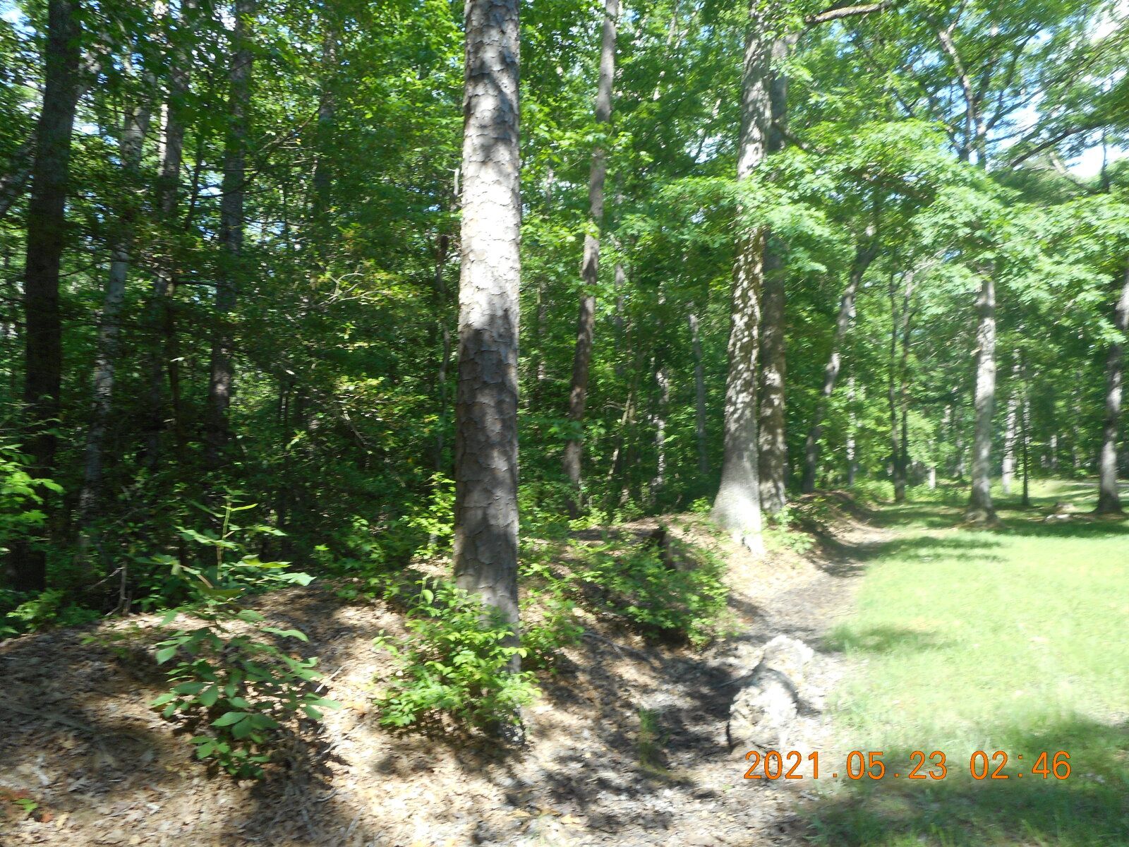 DSCN4159.JPG