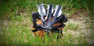 eod.jpg