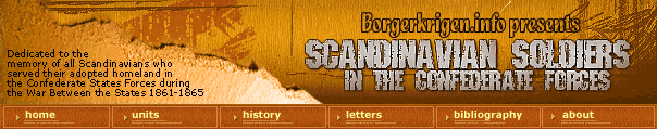 f1_scandi_logo.gif