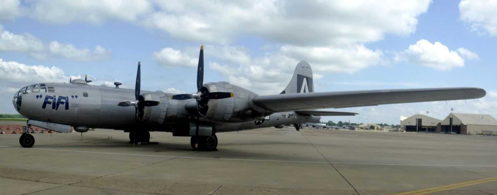 fifi04.jpg