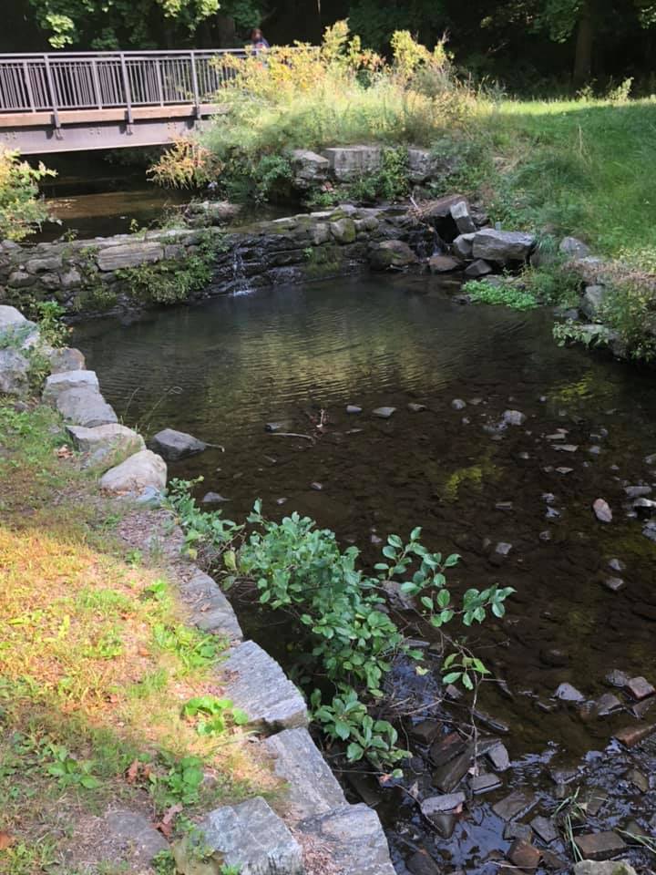 foundrycreek.jpg