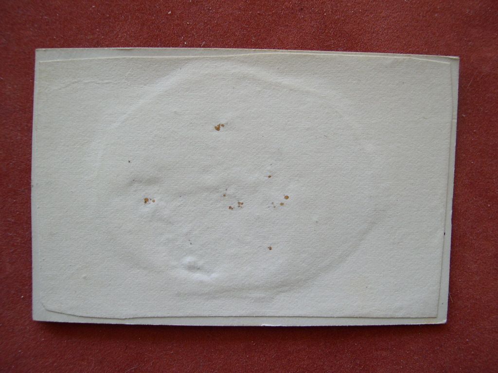 FT-2.JPG