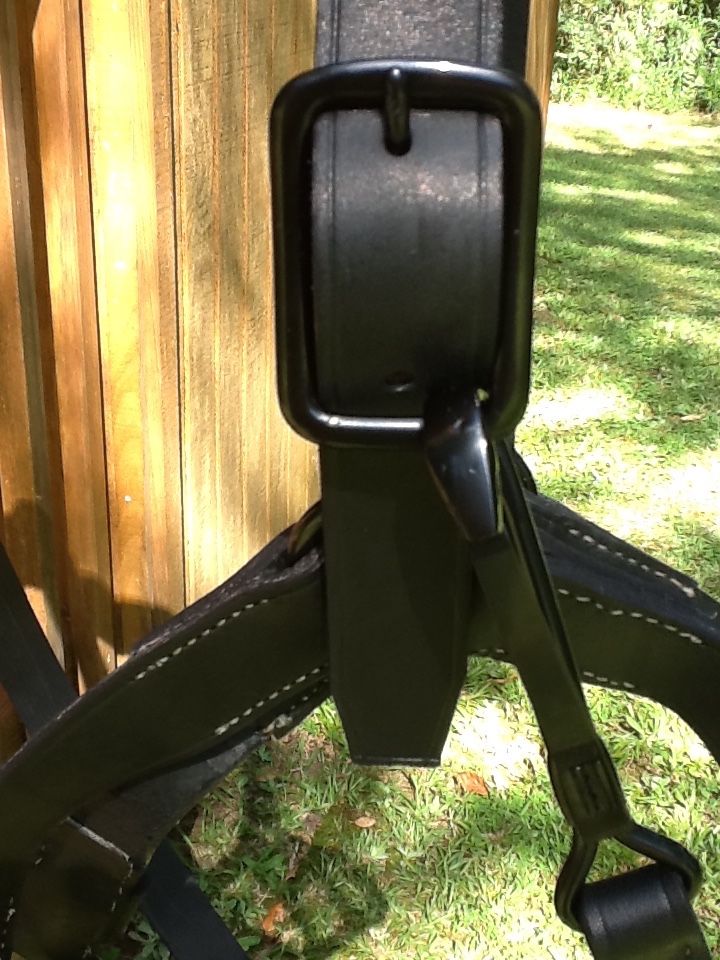 Halter3.JPG