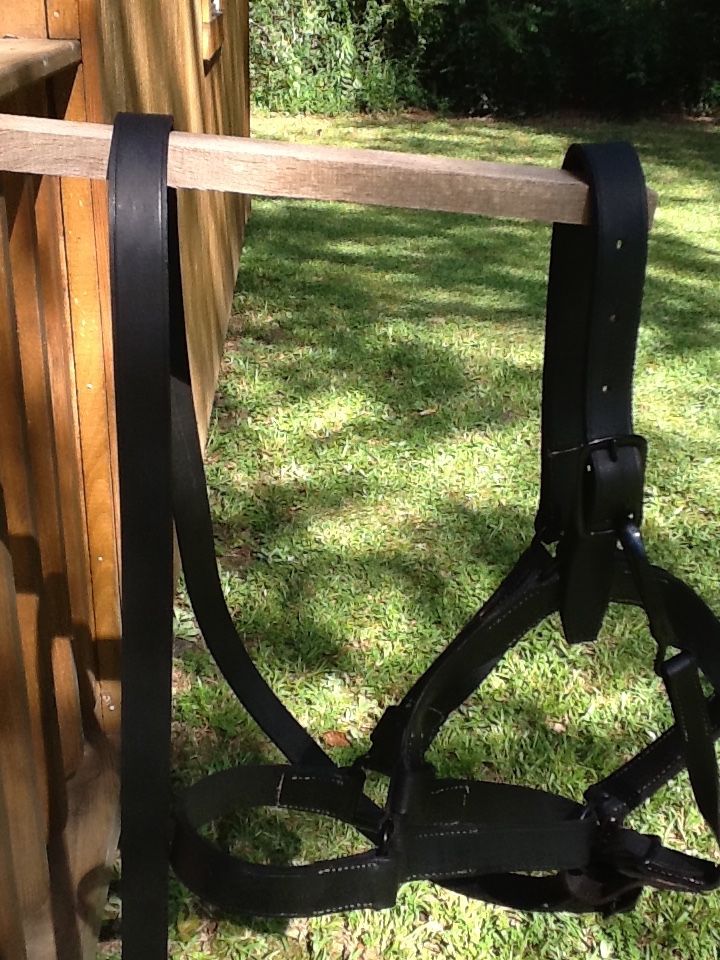Halter4.JPG