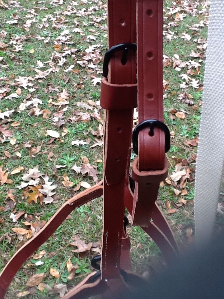 HalterBridle2.JPG