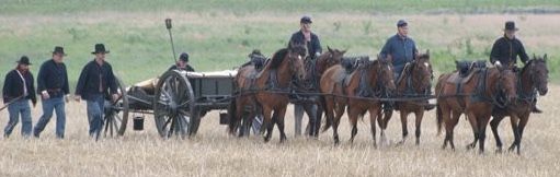 horse drawn gun.jpeg