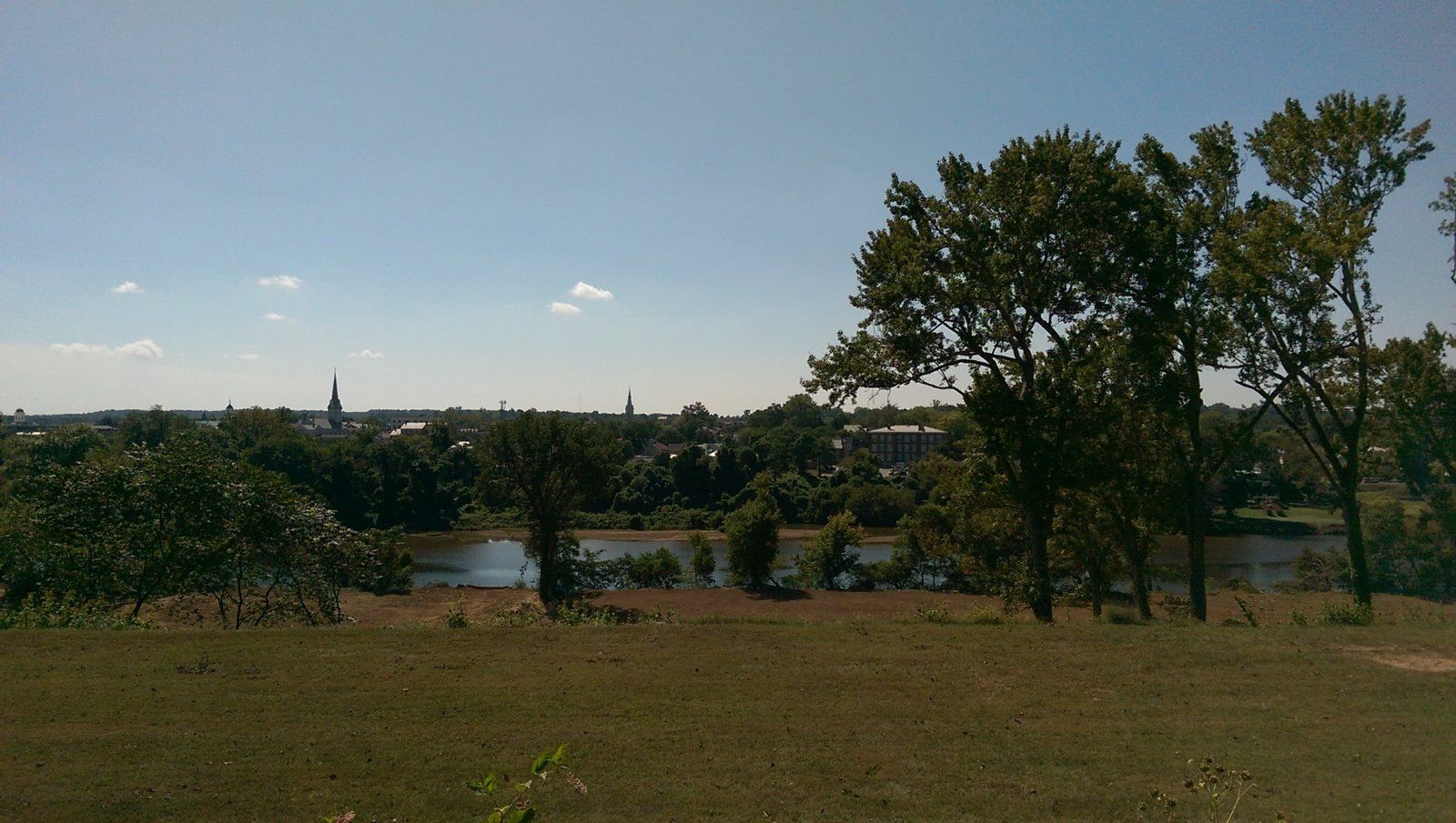 IMAG0542.jpg