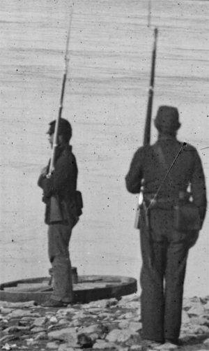 image-asset.jpg