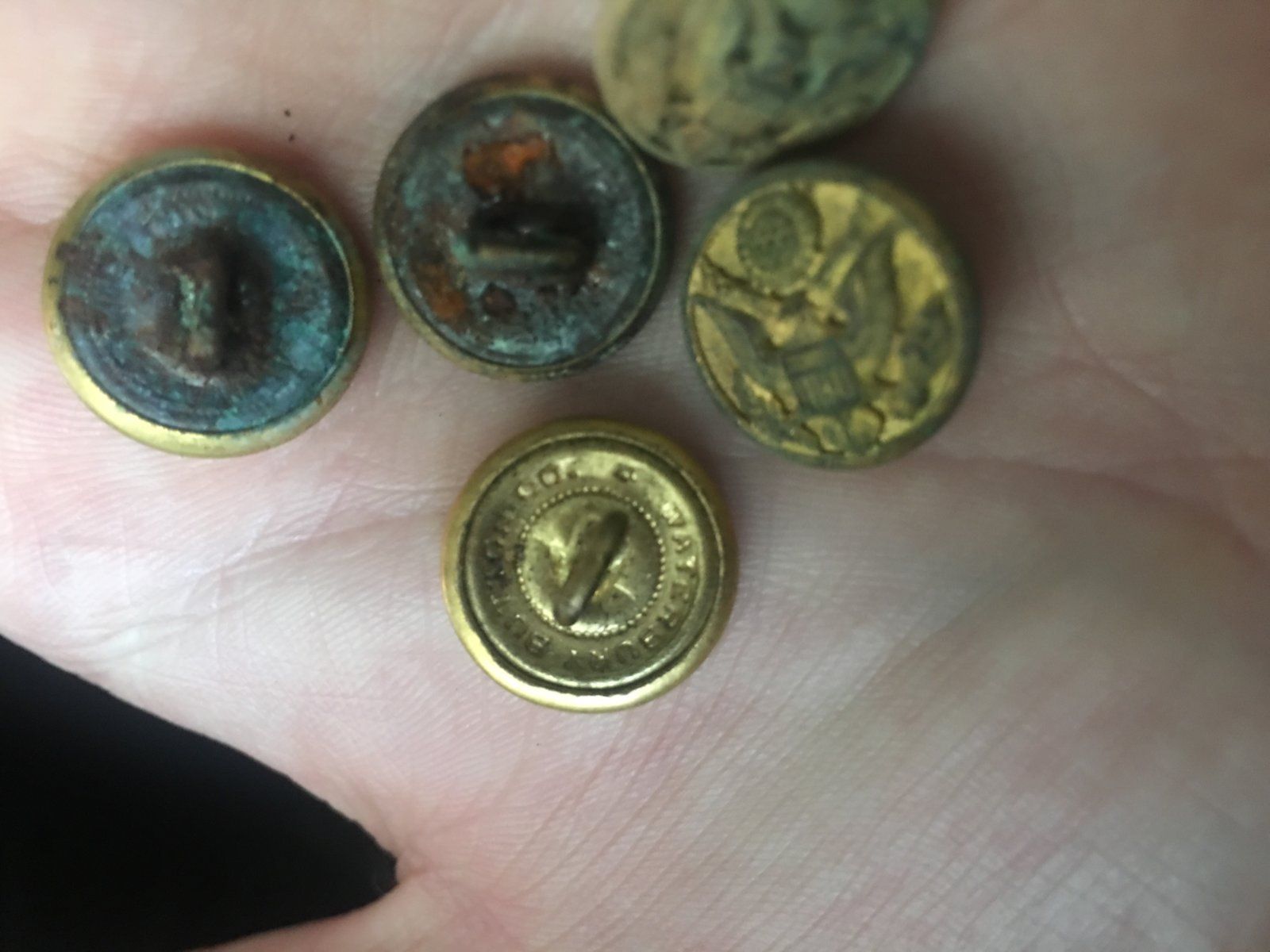 image.jpg